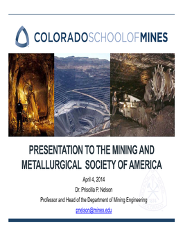PRESENTATION to the MINING and METALLURGICAL SOCIETY of AMERICA April 4, 2014 Dr