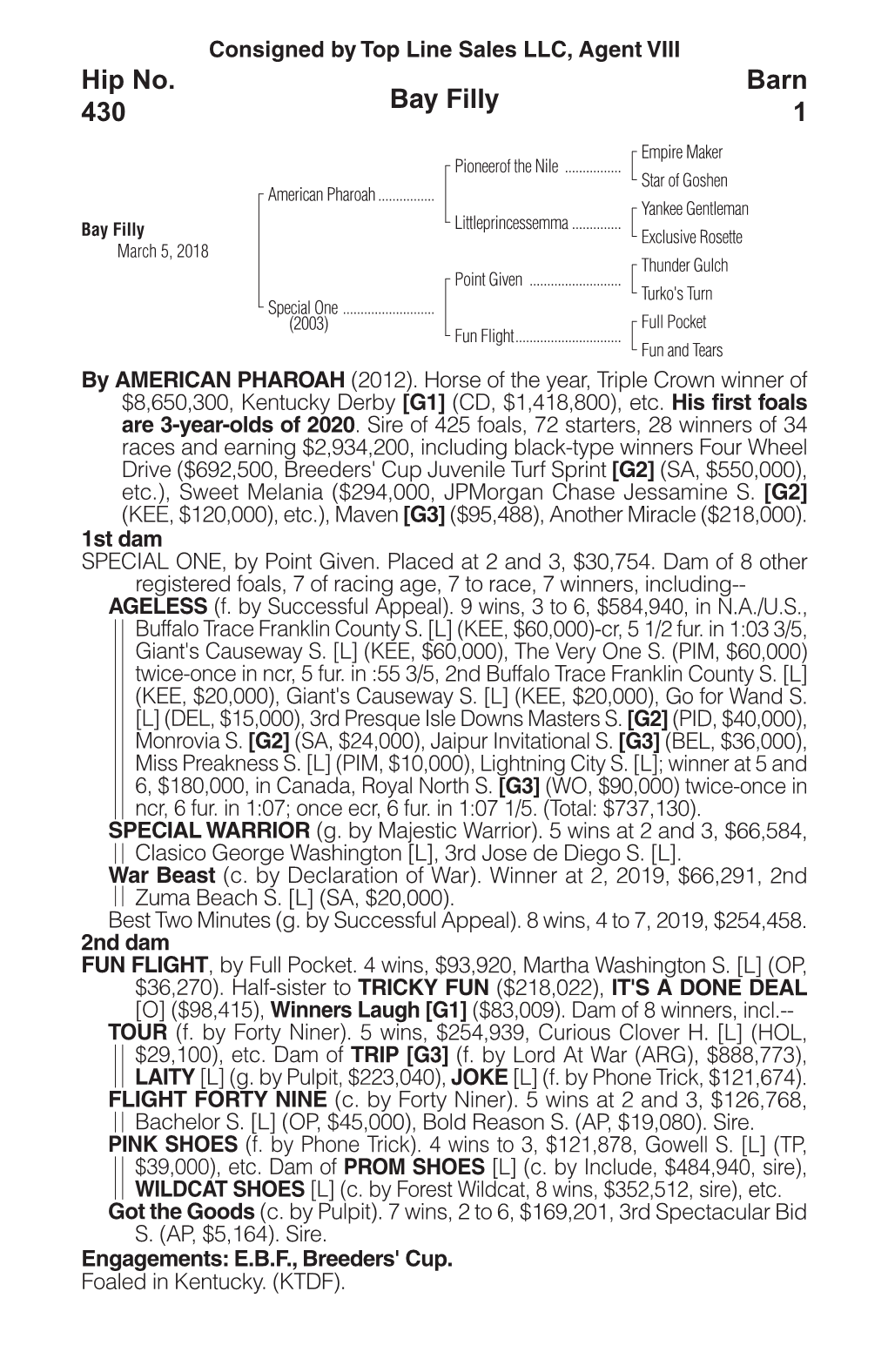 Bay Filly Barn 1 Hip No