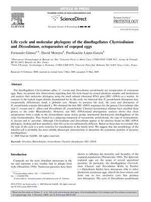 Life Cycle and Molecular Phylogeny of the Dinoflagellates Chytriodinium