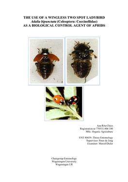 THE USE of a WINGLESS TWO SPOT LADYBIRD Adalia Bipunctata (Coleoptera: Coccinellidae) AS a BIOLOGICAL CONTROL AGENT of APHIDS