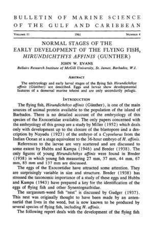 Normal Stages of the Early Development of the Flying Fish, &lt;I
