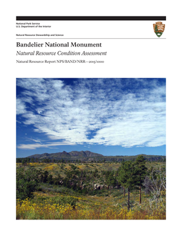 Bandelier National Monument: Natural Resource Condition Assessment