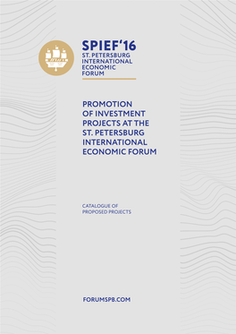 Promotion of Investment Projects at the St. Petersburg International Economic Forum