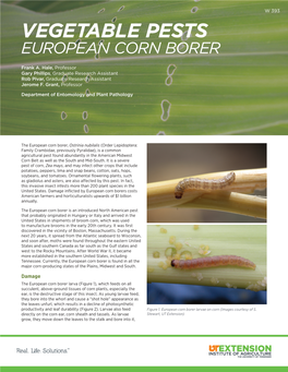 Vegetable Pests: European Corn Borer W