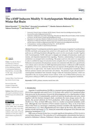 The Camp Inducers Modify N-Acetylaspartate Metabolism in Wistar Rat Brain