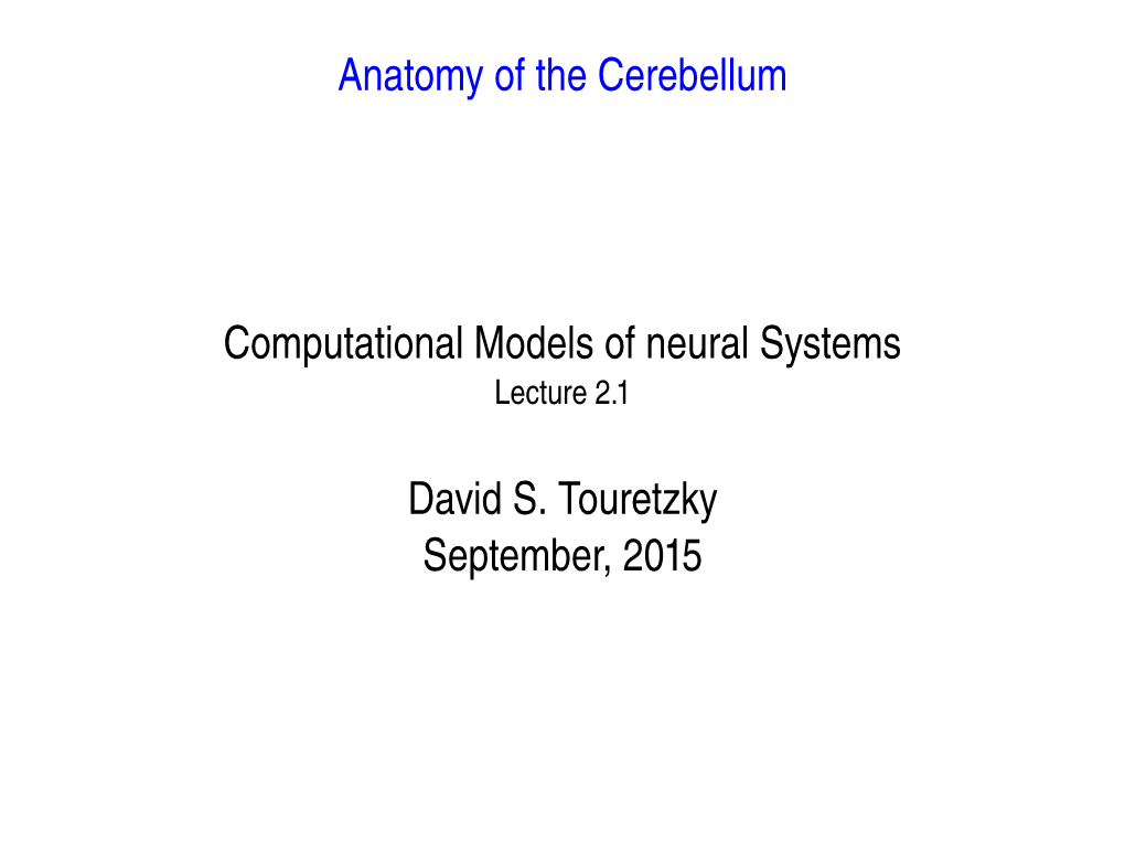 Anatomy of the Cerebellum Computational Models of Neural