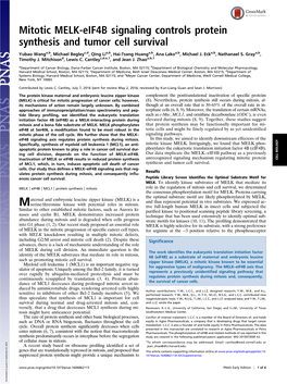 Mitotic MELK-Eif4b Signaling Controls Protein Synthesis and Tumor Cell Survival