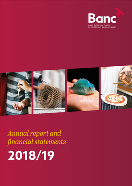Annual Report and Financial Statements 2018/19 Annual Report and Financial Statements 2018/19