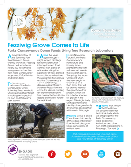 Fezziwig Grove Comes to Life