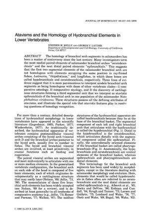 Atavisms and the Homology of Hyobranchial Elements in Lower Vertebrates