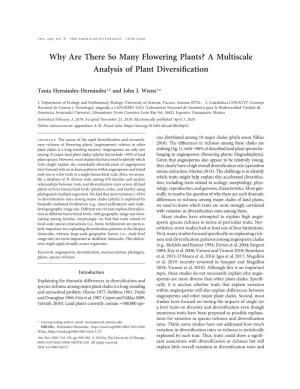 Why Are There So Many Flowering Plants? a Multiscale Analysis of Plant Diversiﬁcation