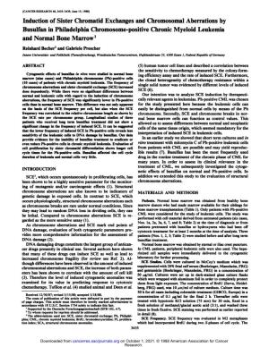 Induction of Sister Chromatid Exchanges and Chromosomal Aberrations by Busulfan in Philadelphia Chromosome-Positive Chronic Myeloid Leukemia and Normal Bone Marrow1