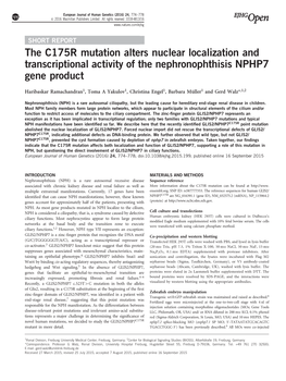 The C175R Mutation Alters Nuclear Localization and Transcriptional Activity of the Nephronophthisis NPHP7 Gene Product