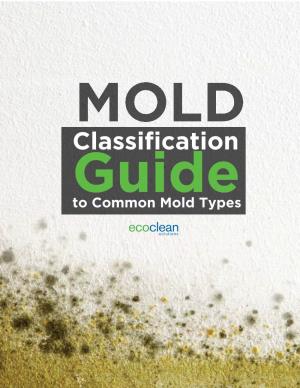 Cladosporium Mold