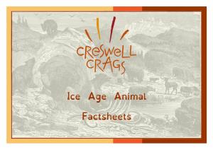 Ice Age Animal Factsheets