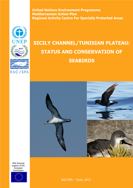Sicily Channel/Tunisian Plateau: Status and Conservation of Seabirds