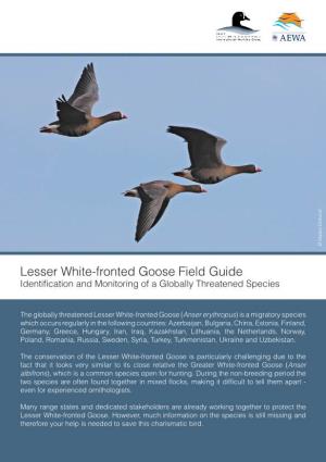Lesser White-Fronted Goose Field Guide Identification and Monitoring of a Globally Threatened Species