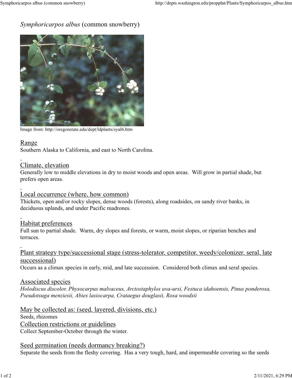 Symphoricarpos Albus (Common Snowberry)