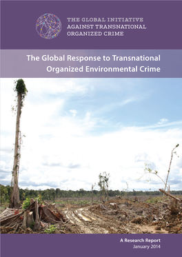 The Global Response to Transnational Organized Environmental Crime