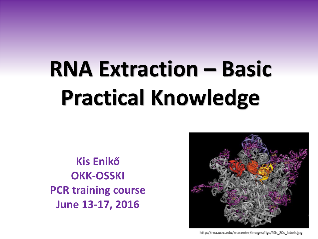 RNA Isolation