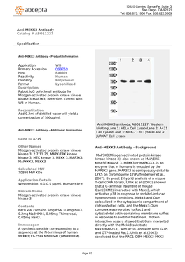 Anti-MEKK3 Antibody Catalog # ABO11227