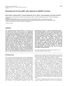 Chromaffin Cell Development in Mash1 Mutant Mice 4731