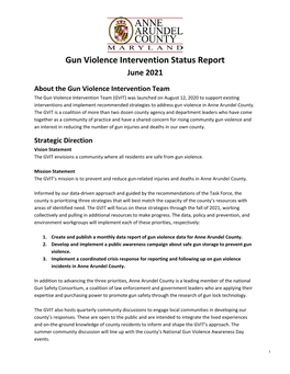 Gun Violence Intervention Status Report June 2021