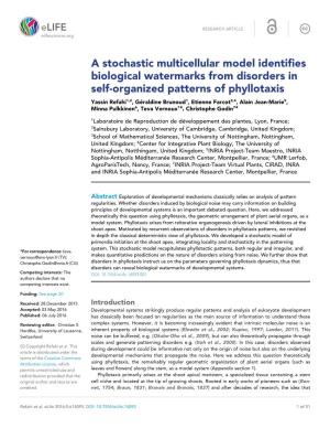 A Stochastic Multicellular Model Identifies Biological Watermarks