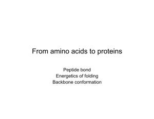 From Amino Acids to Proteins