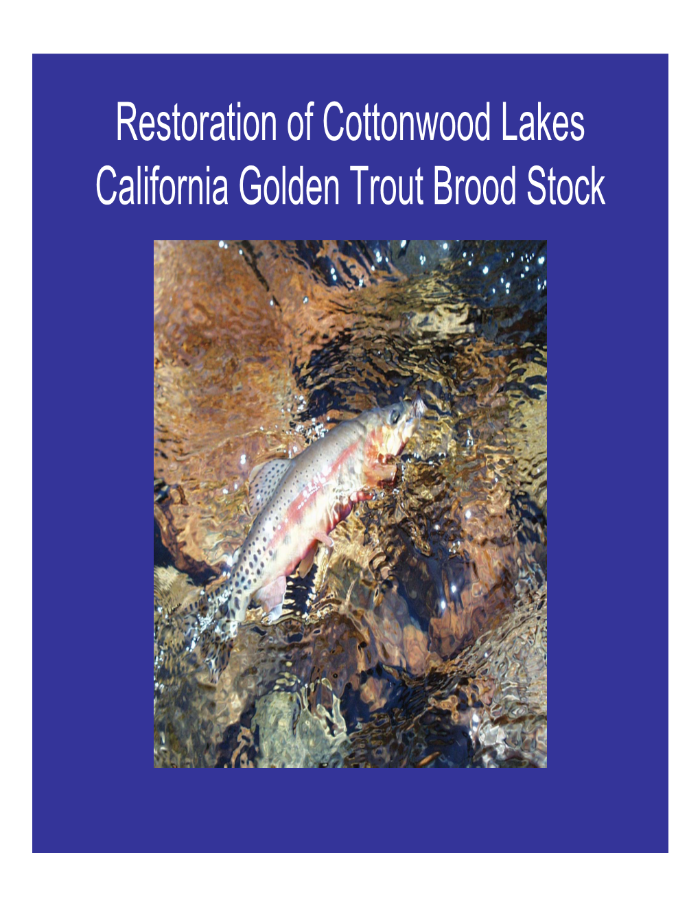 Restoration of Cottonwood Lakes California Golden Trout Brood Stock