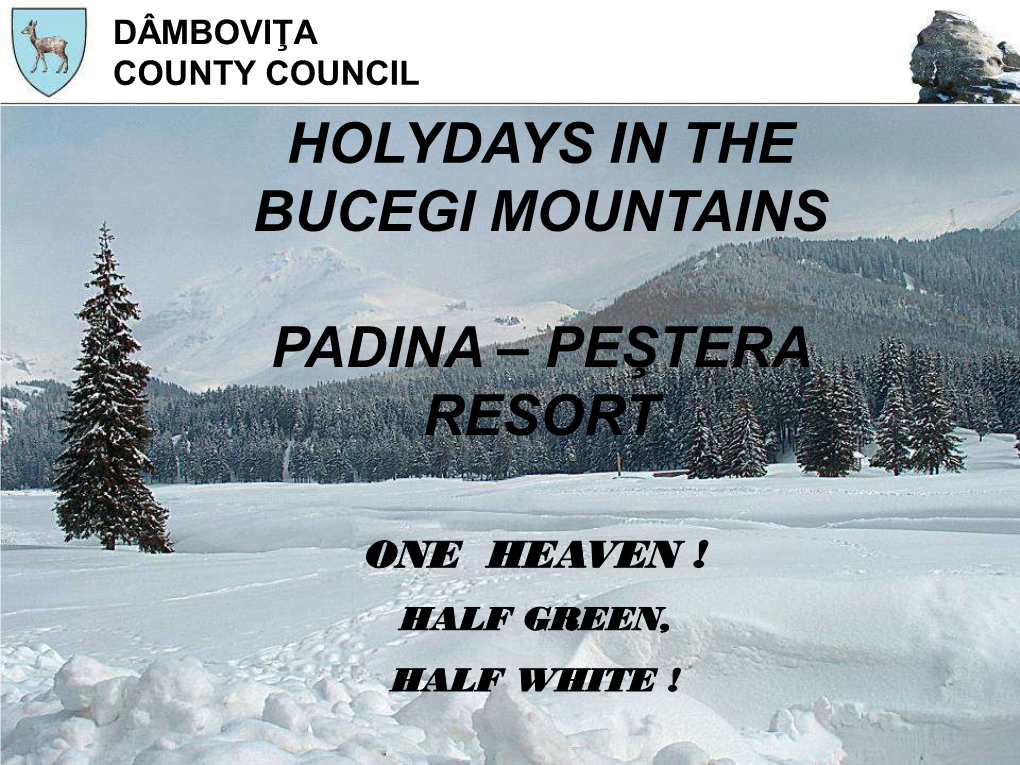 Holydays in the Bucegi Mountains Padina – Peştera Resort