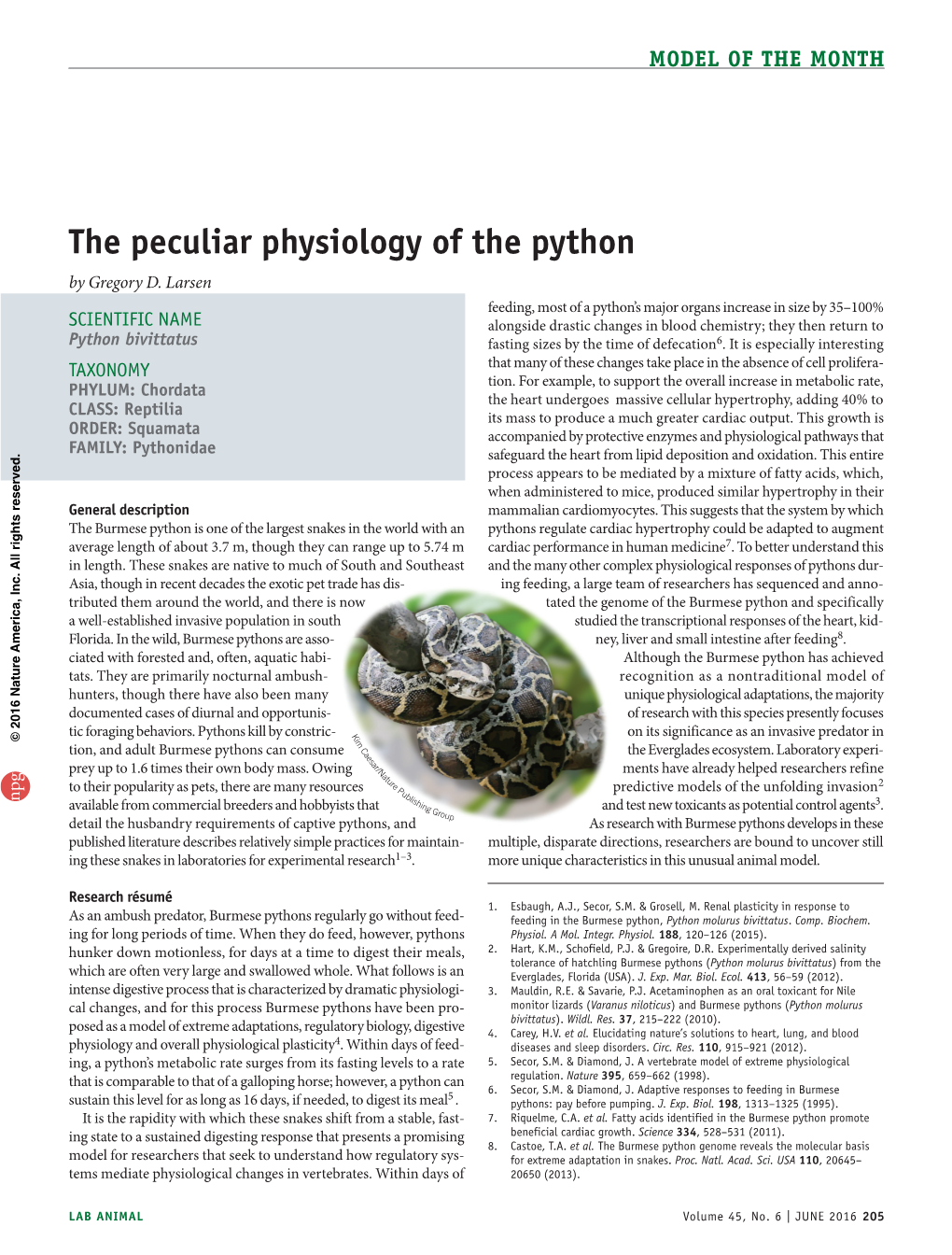 The Peculiar Physiology of the Python by Gregory D