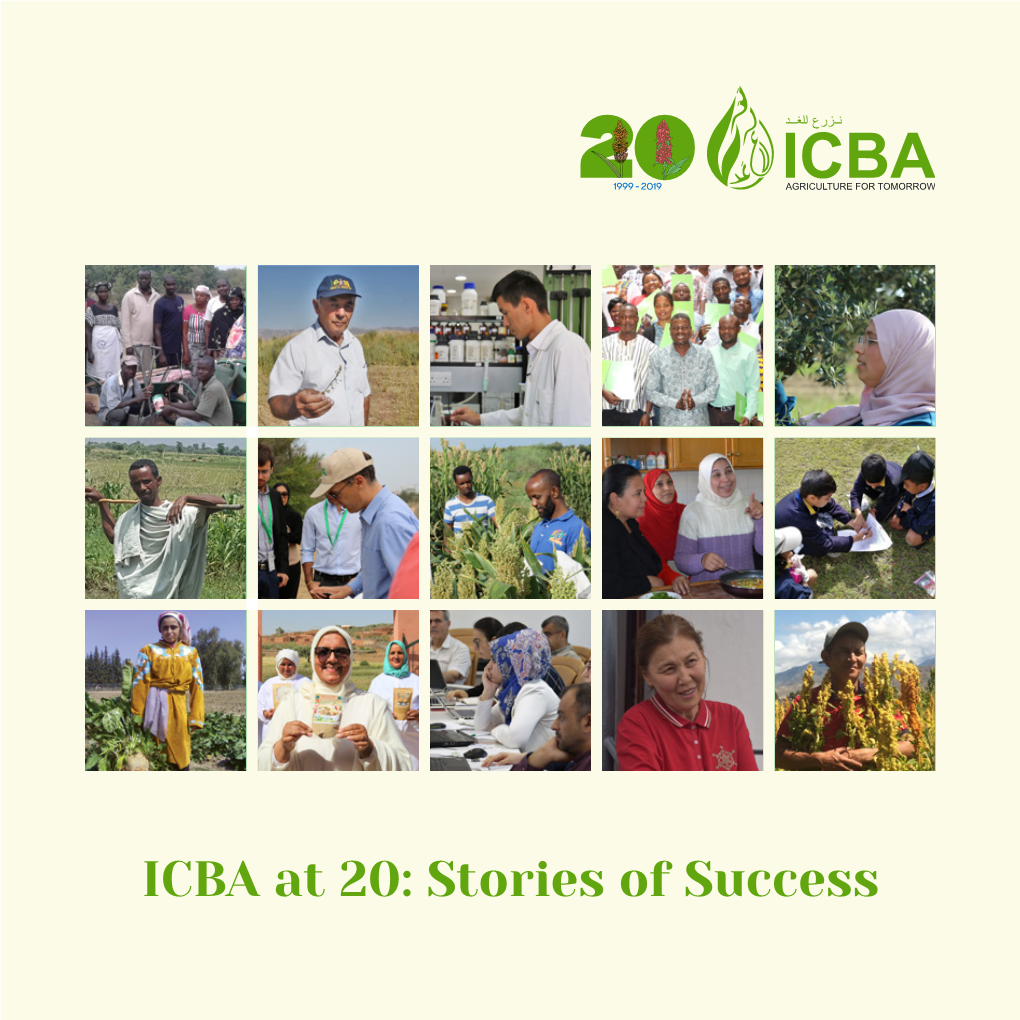 ICBA at 20: Stories of Success Creative Commons License