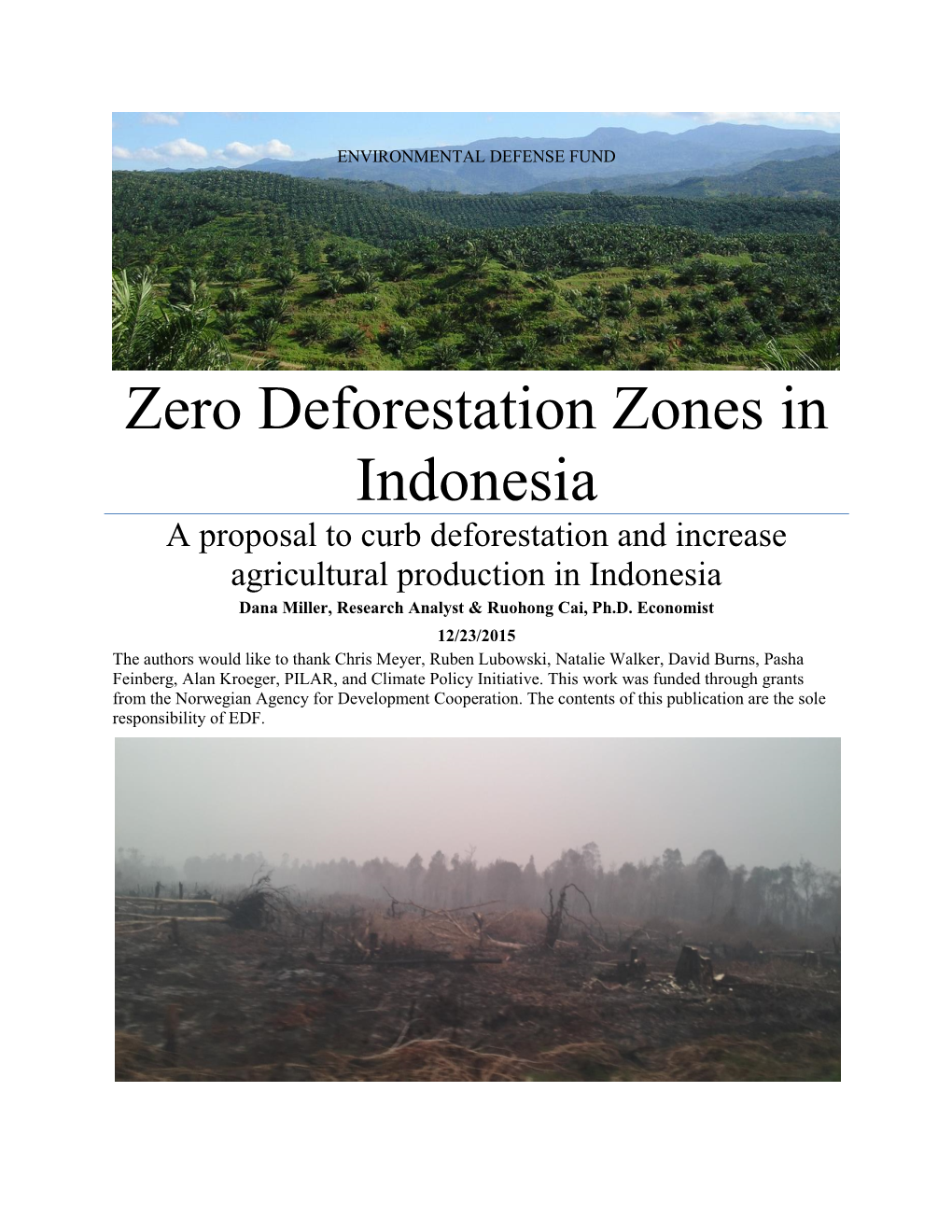 Zero Deforestation Zones in Indonesia