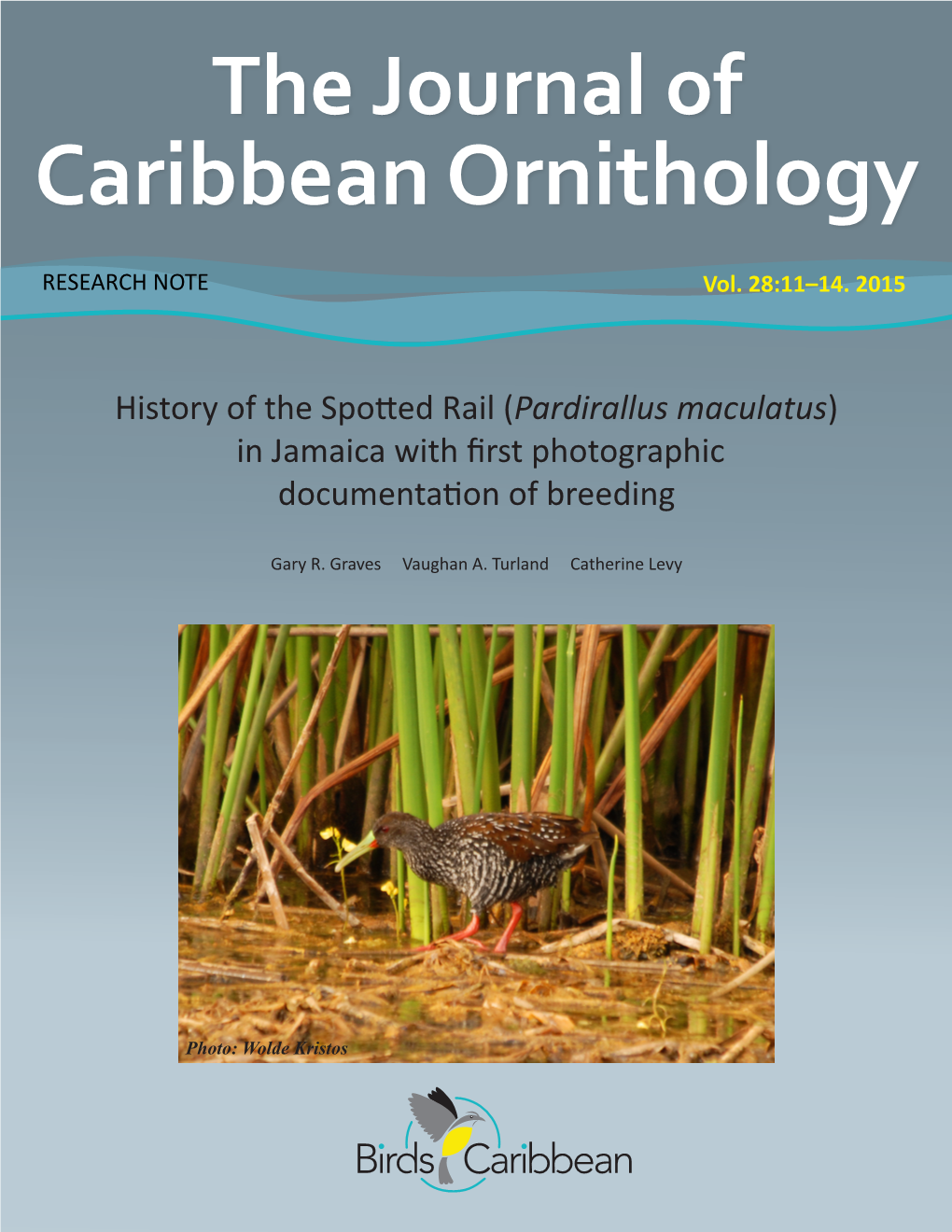 Caribbean Ornithology