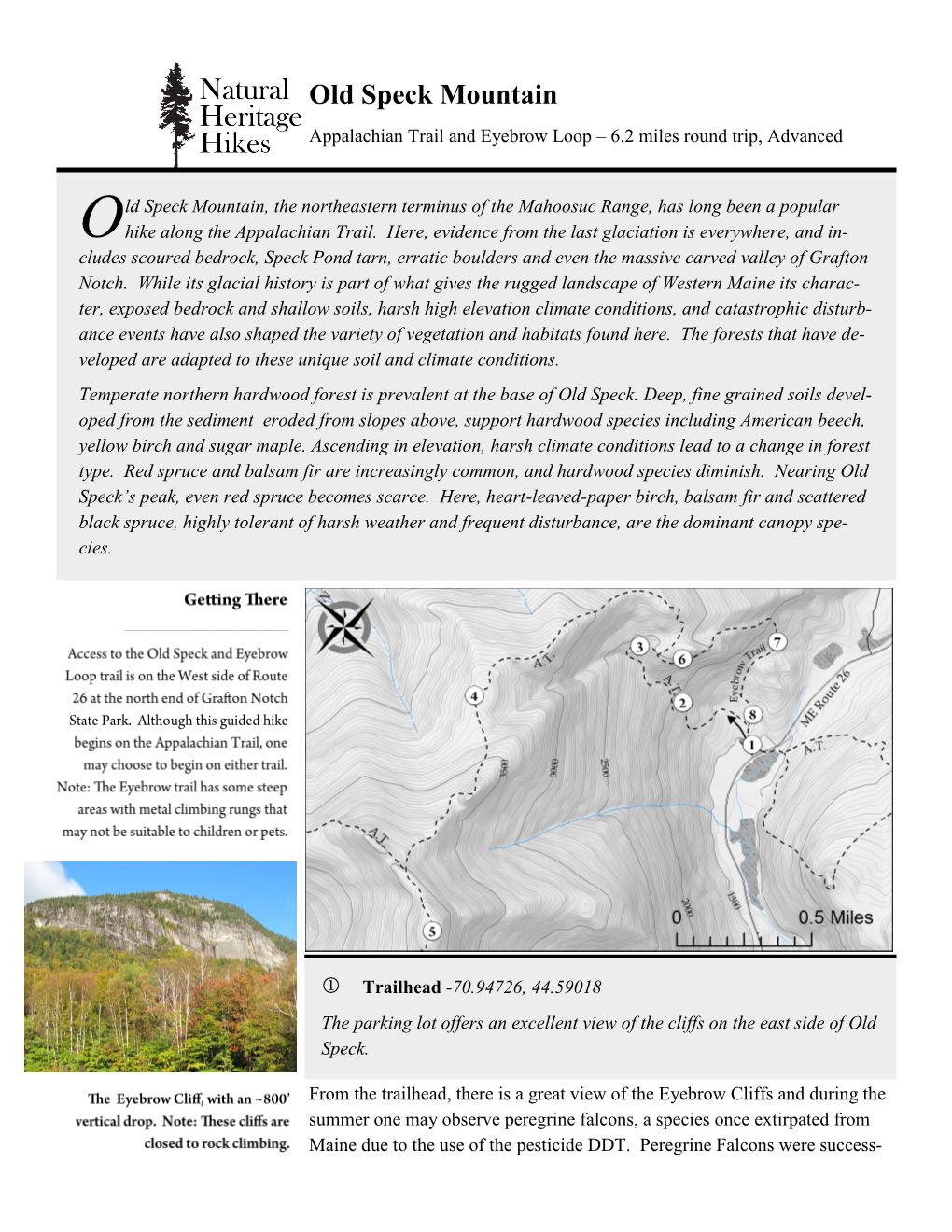 Old Speck Mountain Appalachian Trail and Eyebrow Loop – 6.2 Miles Round Trip, Advanced