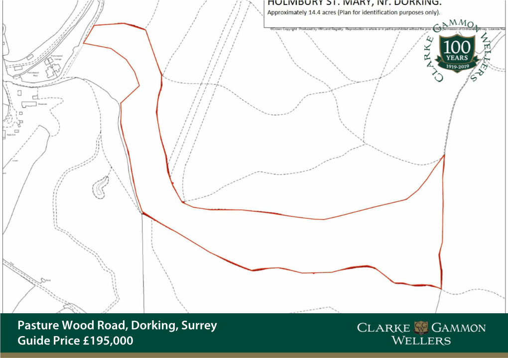 Woodland Off Pasture Wood Road