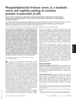 Phosphatidylinositol 4-Kinase Serves As a Metabolic Sensor and Regulates Priming of Secretory Granules in Pancreatic ␤ Cells