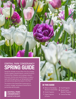 Spring-Guide-2019.Pdf