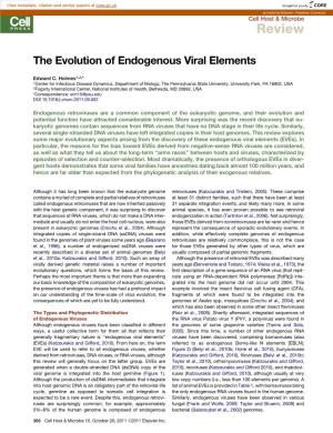 The Evolution of Endogenous Viral Elements