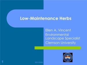 Low-Maintenance Herbs