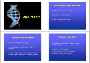 DNA Repair • Lethal Or Conditional Mutation