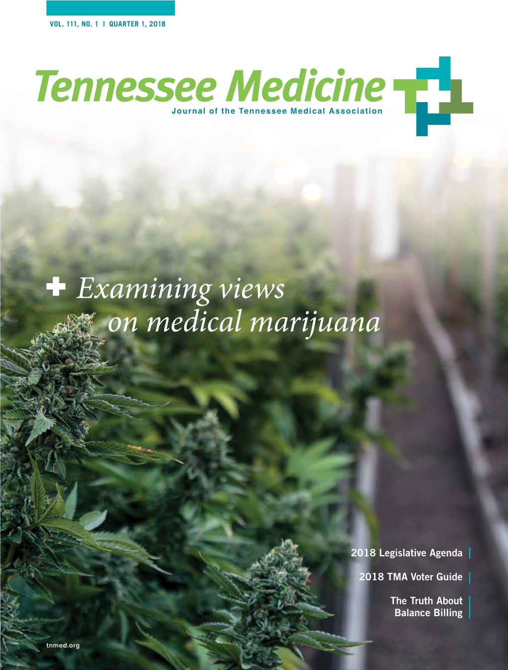 Examining Views on Medical Marijuana