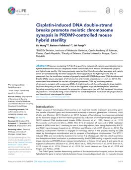 Cisplatin-Induced DNA Double-Strand Breaks Promote Meiotic