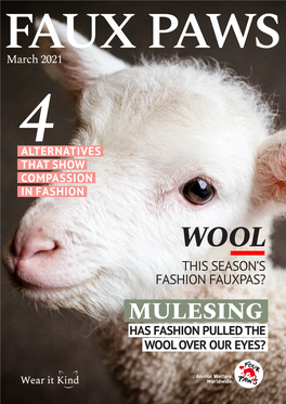 MULESING HAS FASHION PULLED the WOOL OVER OUR EYES? Merino Sheep and Mulesing