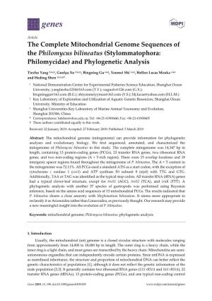The Complete Mitochondrial Genome Sequences of the Philomycus Bilineatus (Stylommatophora: Philomycidae) and Phylogenetic Analysis
