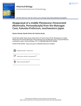 Reappraisal of a Middle Pleistocene Rhinocerotid (Mammalia, Perissodactyla) from the Matsugae Cave, Fukuoka Prefecture, Southwestern Japan