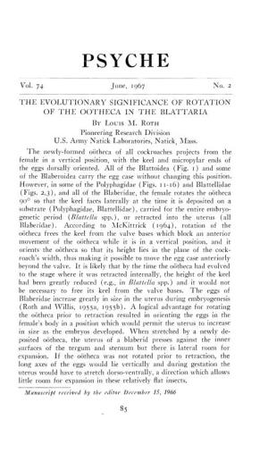 The Evolutionary Significance of Rotation of the Oötheca in The
