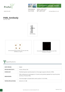 PARL Antibody Cat