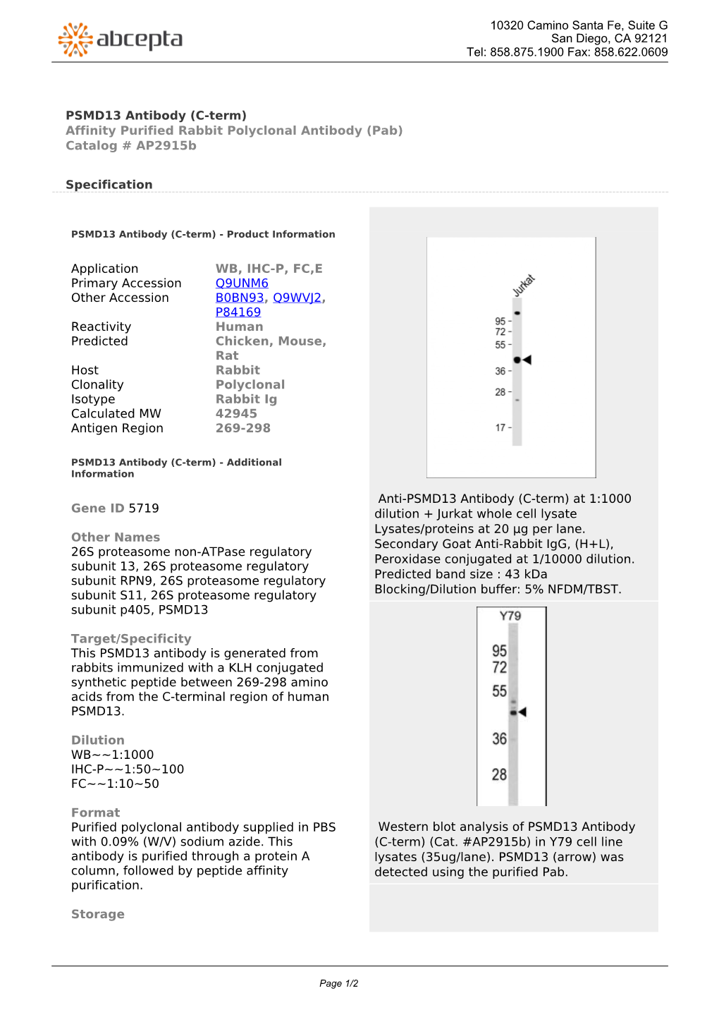 PSMD13 Antibody (C-Term) Affinity Purified Rabbit Polyclonal Antibody (Pab) Catalog # Ap2915b